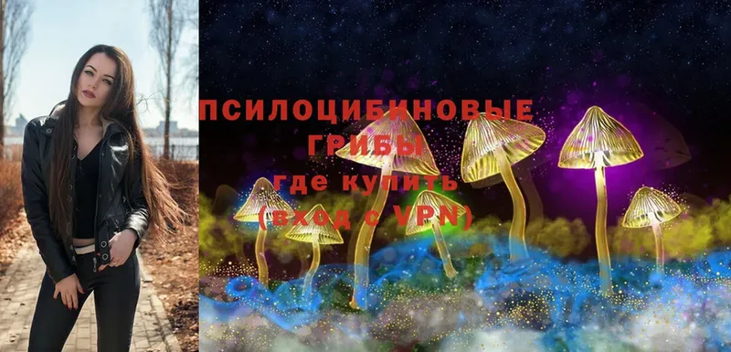 как найти наркотики  Усть-Лабинск  Галлюциногенные грибы Psilocybe 